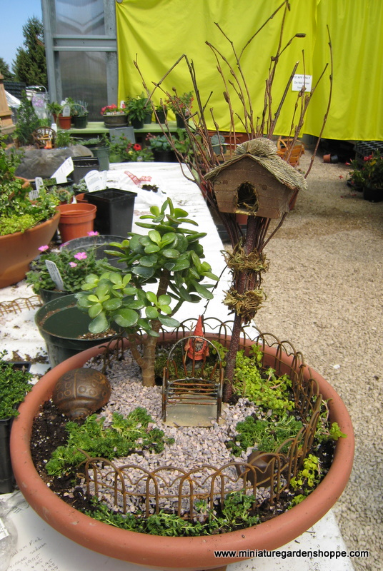 Miniature Garden Inspiration Gallery